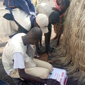 last mile vaccine manyatta to manyatta